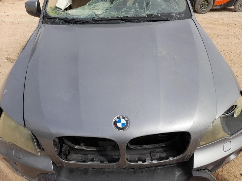 Recambio de capot para bmw x5 (e70) 3.0 d referencia OEM IAM 41617486754  