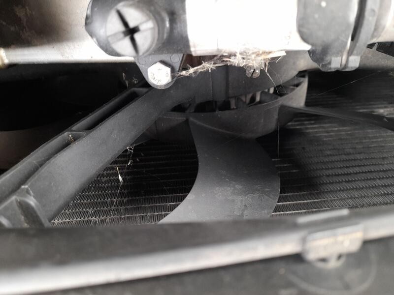 Recambio de electroventilador para bmw x5 (e70) 3.0 d referencia OEM IAM 17428618241  