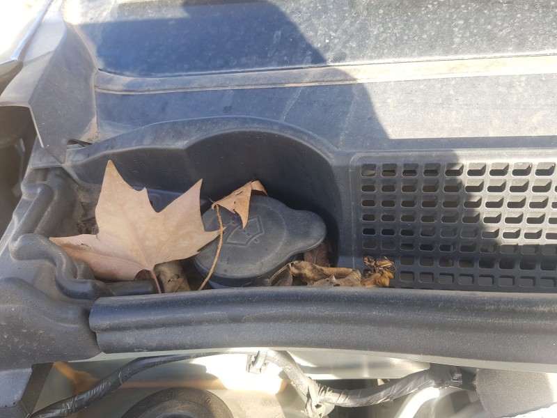 Recambio de deposito limpia para dacia sandero iii 1.0 tce 90 referencia OEM IAM 289105693R  