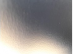 ELEVALUNAS TRASERO IZQUIERDO 9840158680 