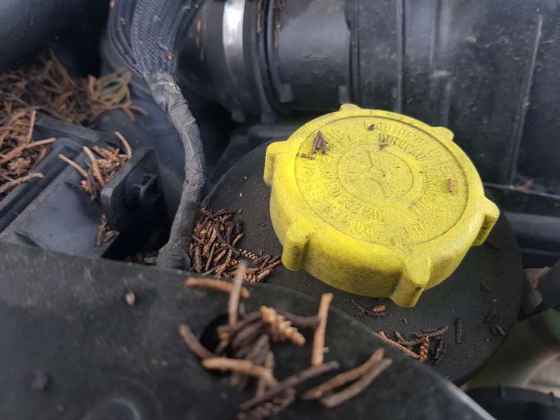 Recambio de bomba direccion para land rover range rover (lm) v8 td vogue referencia OEM IAM   