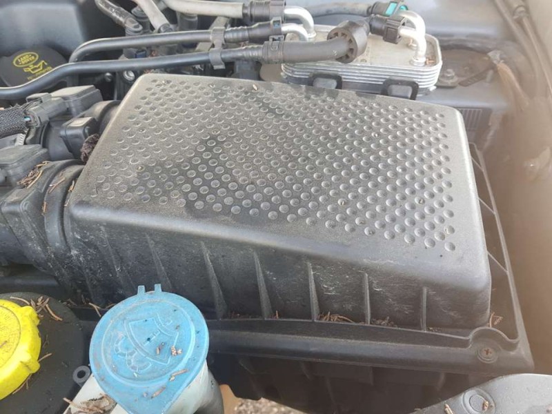 Recambio de carcasa filtro aire para land rover range rover (lm) v8 td vogue referencia OEM IAM PHB500240  