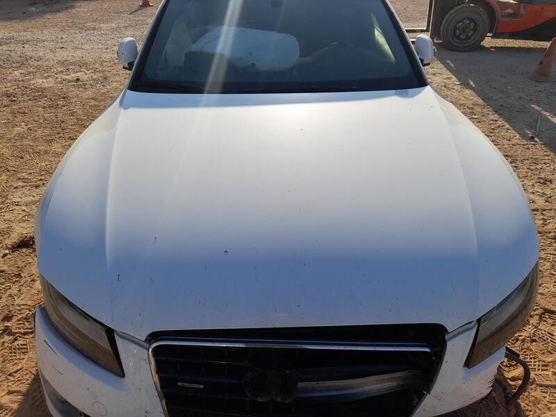 Recambio de capot para audi a5 (8t3) 3.0 tdi quattro referencia OEM IAM 8T0823029D  