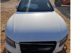 Recambio de capot para audi a5 (8t3) 3.0 tdi quattro referencia OEM IAM 8T0823029D  