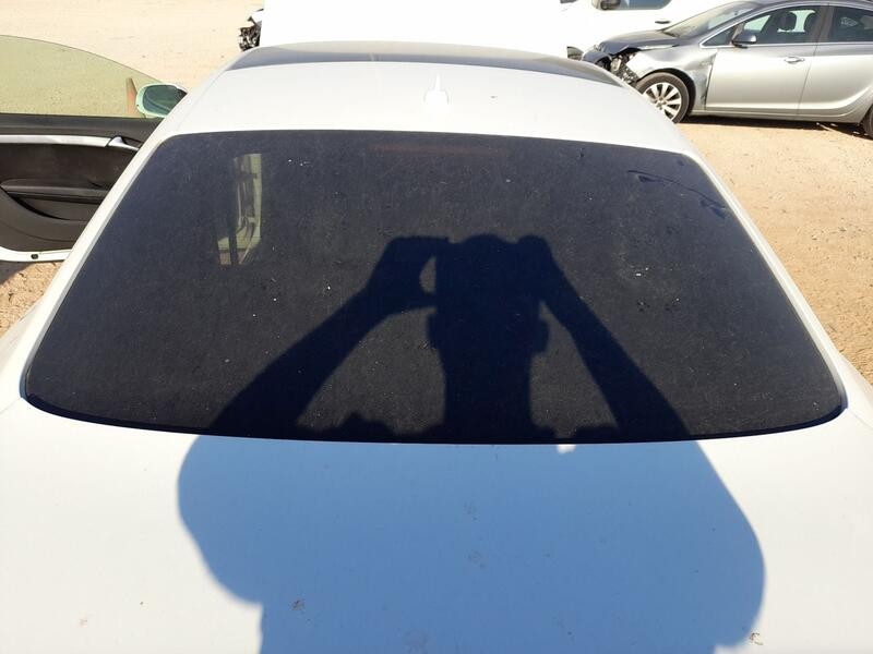 Recambio de luna trasera para audi a5 (8t3) 3.0 tdi quattro referencia OEM IAM 8T0845501C  