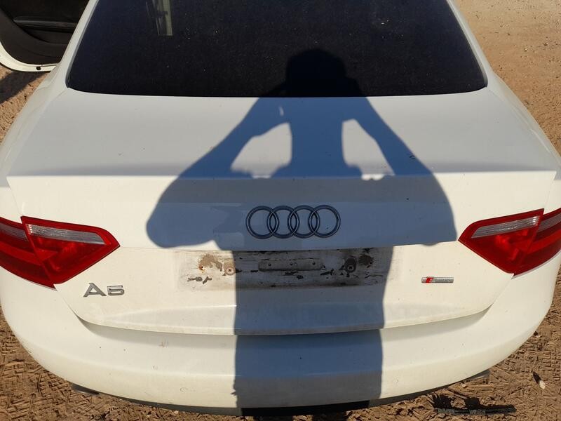 Recambio de tapa maletero para audi a5 (8t3) 3.0 tdi quattro referencia OEM IAM 8T0827023AJ  
