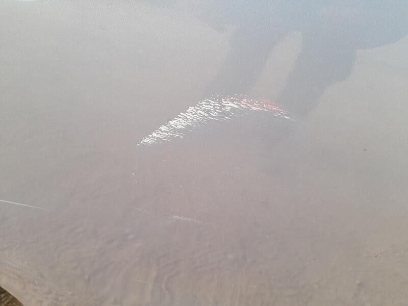 Recambio de puerta trasera derecha para citroën c-elysee (dd_) 1.6 hdi 92 referencia OEM IAM 9675190680 ROZADA 