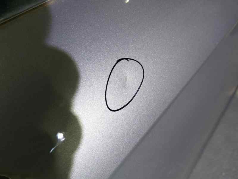 Recambio de puerta delantera izquierda para seat exeo berlina (3r2) reference referencia OEM IAM   TOCADA