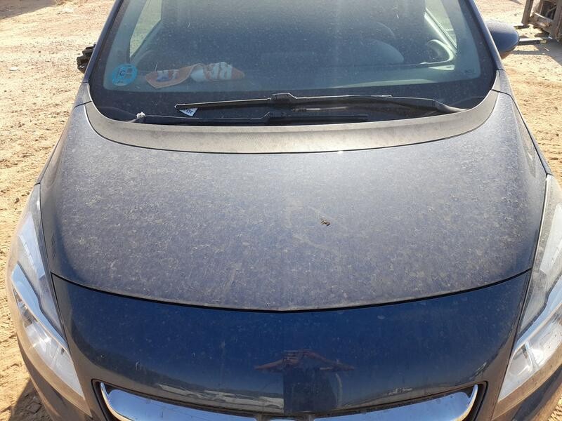 Recambio de capot para opel meriva b monospace (s10) 1.4 (75) referencia OEM IAM 95514648  