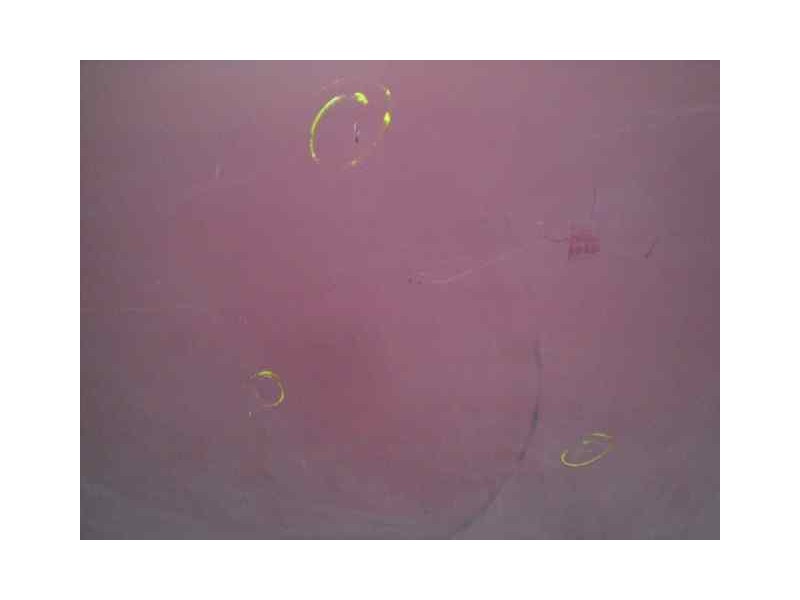 Recambio de capot para opel monterey 3.0 dti cat referencia OEM IAM   