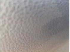 ELEVALUNAS DELANTERO IZQUIERDO 10789612 