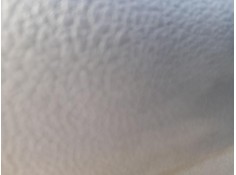 ELEVALUNAS TRASERO IZQUIERDO 10789614 