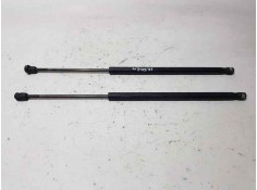 AMORTIGUADORES MALETERO / PORTON 