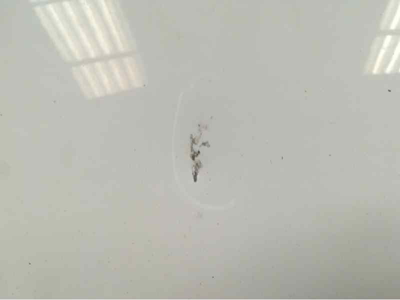 Recambio de capot para peugeot partner (s2) combiespace referencia OEM IAM   TOCADA