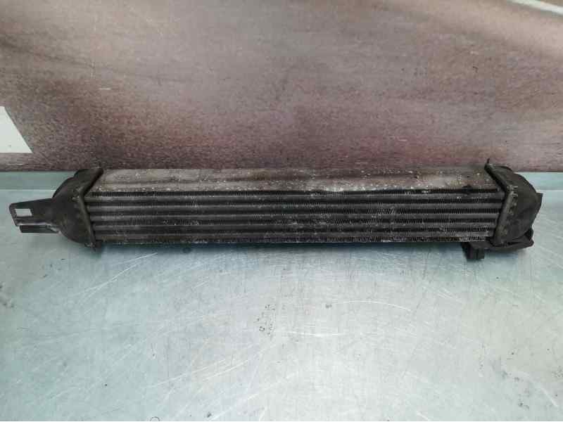 Recambio de intercooler para peugeot bipper básico referencia OEM IAM L8119001  1 PATA ROTA