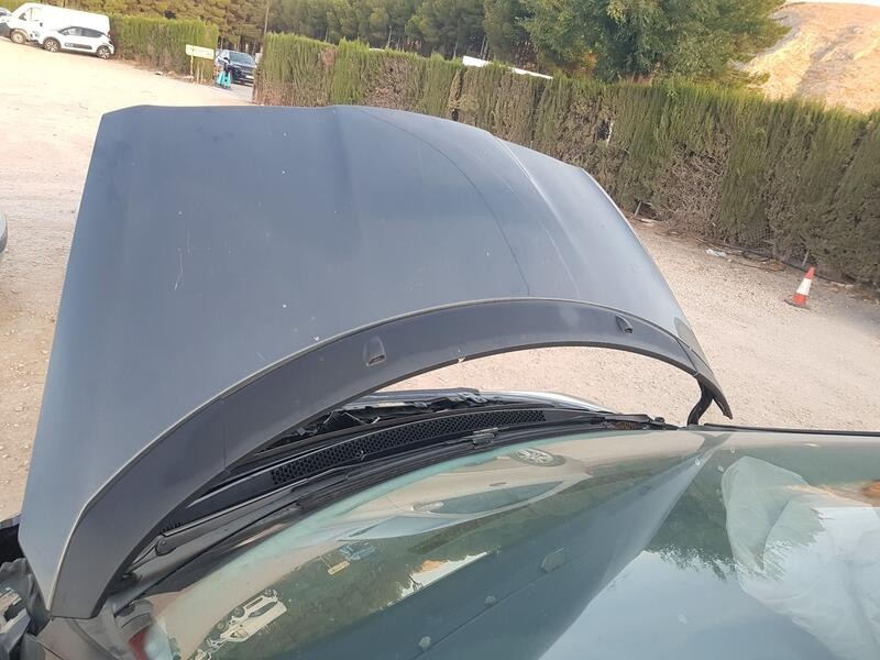 Recambio de capot para peugeot 5008 (0u_, 0e_) 1.2 referencia OEM IAM 7901R2  