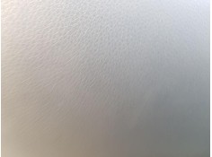 ELEVALUNAS DELANTERO IZQUIERDO 9221FF 