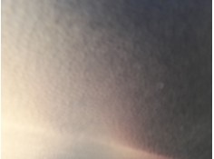 ELEVALUNAS TRASERO IZQUIERDO 83403B9010 