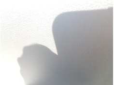 Recambio de elevalunas delantero derecho para seat exeo (3r2) 2.0 tdi referencia OEM IAM 8E0837462C  