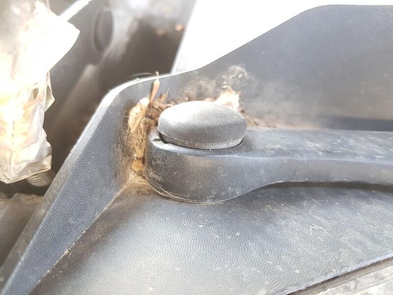 Recambio de motor limpia delantero para seat exeo (3r2) 2.0 tdi referencia OEM IAM 8E1955119  