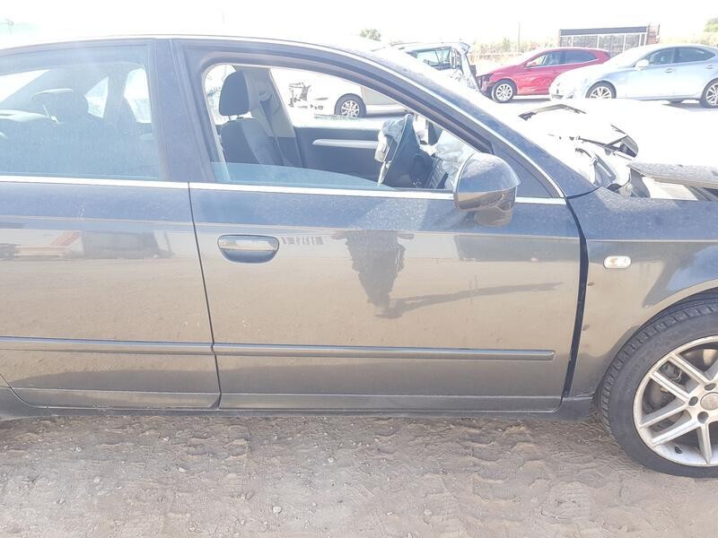 Recambio de puerta delantera derecha para seat exeo (3r2) 2.0 tdi referencia OEM IAM 3R0831052  TOCADA