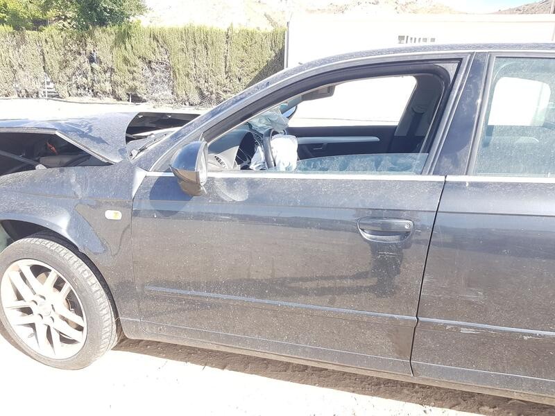 Recambio de puerta delantera izquierda para seat exeo (3r2) 2.0 tdi referencia OEM IAM 3R0831051  