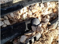 Recambio de motor limpia delantero para seat ibiza iv (6j5, 6p1) 1.4 tdi referencia OEM IAM 6R1955023C  