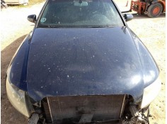 Recambio de capot para audi a6 c6 avant (4f5) 3.0 tdi quattro referencia OEM IAM 4F0823029F TOCADO 