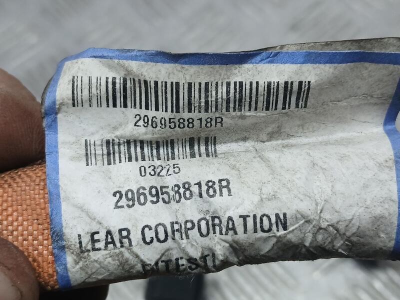 Recambio de modulo electronico para renault kangoo express referencia OEM IAM 296958818R CABLES BATERIA ELECTRICA 