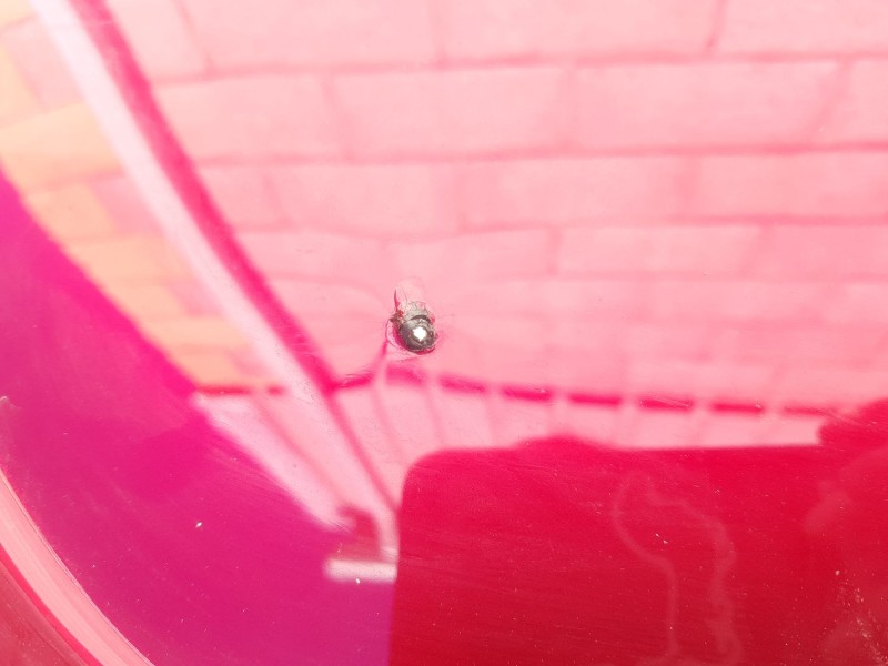 Recambio de paragolpes trasero para mazda mx-5 iv (nd__) 1.5 (nd6e) referencia OEM IAM NFYA5022XBB TOCADO 