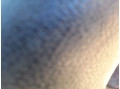 ELEVALUNAS DELANTERO IZQUIERDO 9221E5 