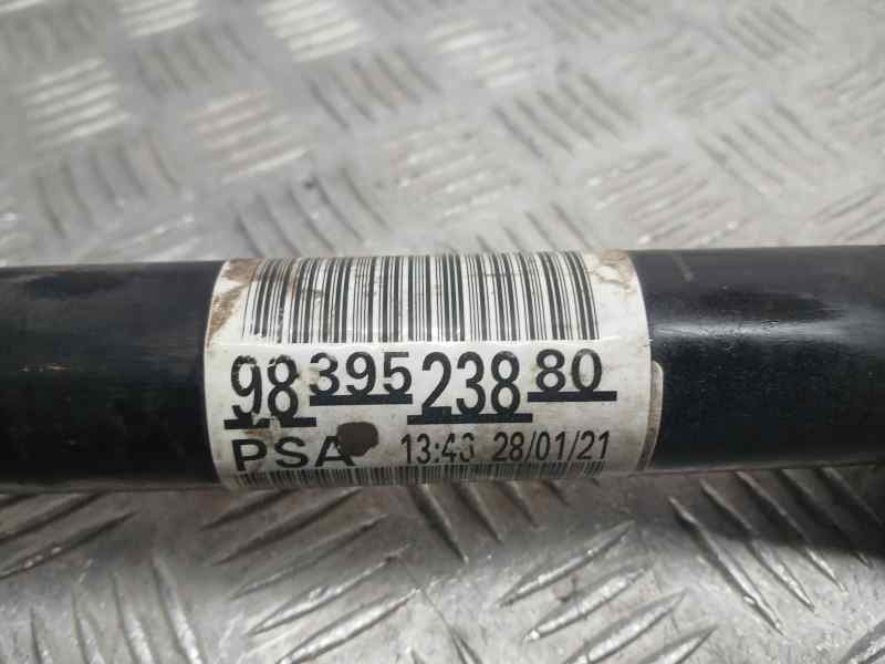 Recambio de transmision delantera derecha para citroën jumpy furgon control m referencia OEM IAM 9839523880  FUELLE ROTO