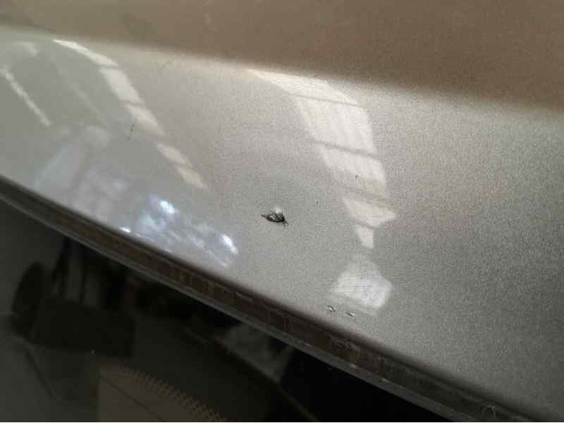 Recambio de porton trasero para peugeot 1007 dolce referencia OEM IAM   TOCADO