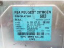 Recambio de centralita direccion para peugeot 1007 dolce referencia OEM IAM 9655460380 6900000589A 