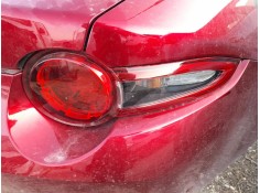 PILOTO TRASERO DERECHO N24351150F 