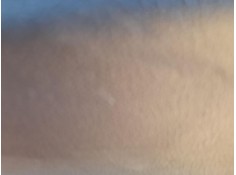 ELEVALUNAS TRASERO DERECHO 827209091R 