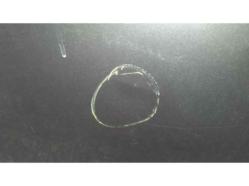 Recambio de puerta trasera derecha para fiat bravo (198) 1.9 dynamic multijet referencia OEM IAM   TOCADA