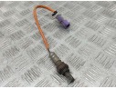 Recambio de sonda lambda para ford fiesta (cb1) ambiente referencia OEM IAM AE8196444BB  