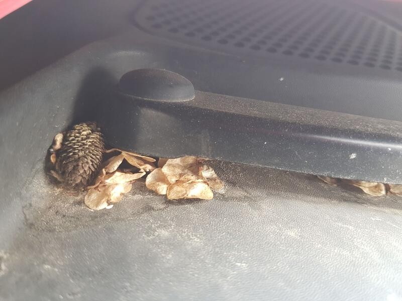 Recambio de motor limpia delantero para seat ibiza iv (6j5, 6p1) 1.0 tsi referencia OEM IAM 6R1955023C  