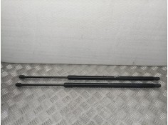 AMORTIGUADORES MALETERO / PORTON CV44S406A10AD PAREJA N655