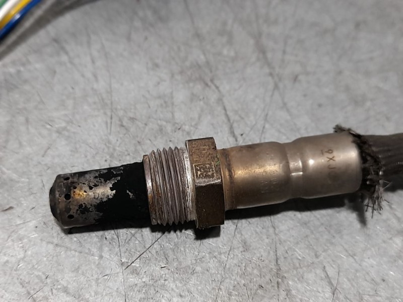 Recambio de sonda lambda para peugeot expert furgón pro standard referencia OEM IAM 9816276480 0281006851 BOSCH