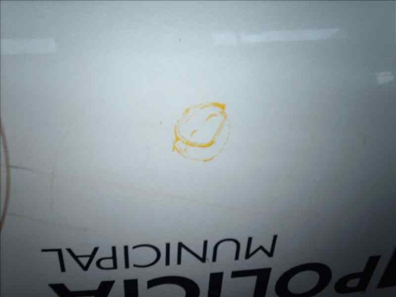 Recambio de capot para renault scenic ii 1.9 dci diesel referencia OEM IAM  1000002621479 