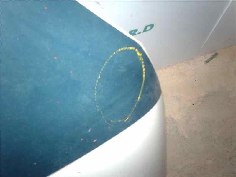 Recambio de capot para renault scenic ii 1.9 dci diesel referencia OEM IAM  1000002621479 