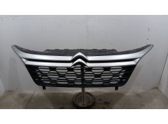 REJILLA DELANTERA 1613256780 