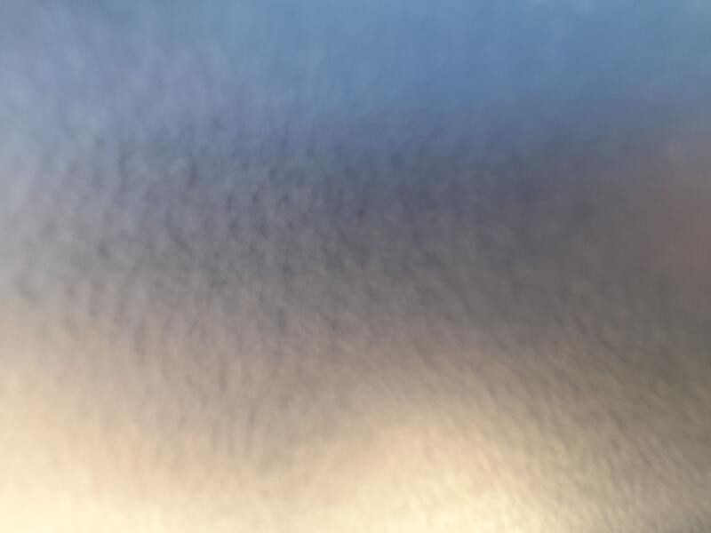 Recambio de elevalunas trasero izquierdo para seat leon st (5f8) 1.4 tsi referencia OEM IAM 5F9839461D  