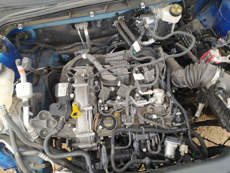 Recambio de motor completo para ford focus st-line referencia OEM IAM R0DB  CARTER ROTO , REVISAR