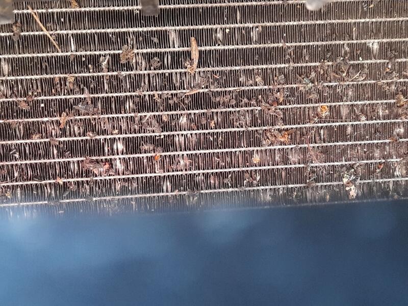 Recambio de condensador / radiador aire acondicionado para volkswagen polo v (6r1, 6c1) 1.0 referencia OEM IAM 6R0820411Q  