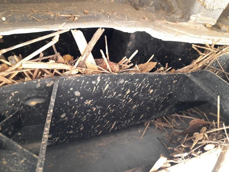 Recambio de refuerzo paragolpes trasero para dacia sandero iii 1.0 tce 90 referencia OEM IAM 756104341R  