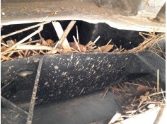 REFUERZO PARAGOLPES TRASERO 756104341R 