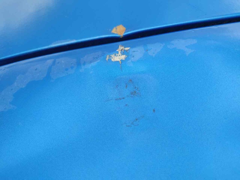 Recambio de porton trasero para ford focus st-line referencia OEM IAM PJX7BA40410EC  TOCADO